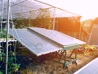 农业用太阳能电池 植物和电力概念 商业和工业概念图片