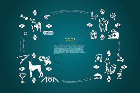 狗不同的狗品种与对象矢量概念 se回收器兽医小狗猎犬食物犬类脚印竞赛哺乳动物爪子图片