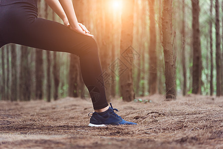 在户外的森林里跑步之前 特写做瑜伽和伸展腿部的女性下半身 体育和自然的概念 生活方式和活动概念 松树林主题运动员运动农村女孩赛跑图片
