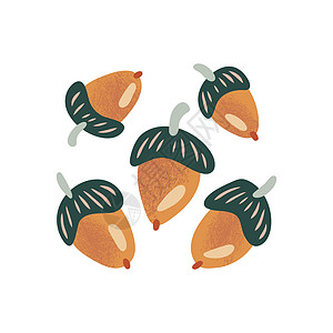 带有橡子的暖色秋季元素 秋季的矢量设计海报节日橙子风格手绘卡通片庆典南瓜收成收获图片
