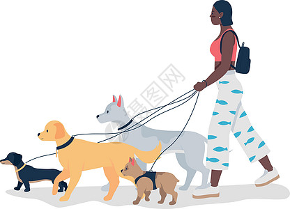 非洲裔美国女孩用皮带遛狗 平面彩色矢量详细特征图片