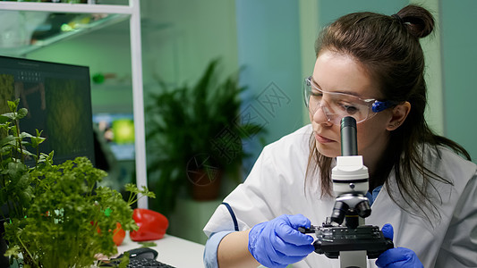 研究显微镜下的绿叶样本的生物学家科学家;图片