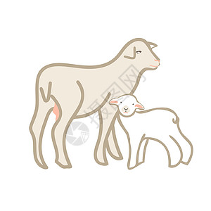 绵羊与羊肉羊毛涂鸦母羊农场婴儿农家家畜草图动物哺乳动物图片
