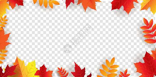 秋天的边框与明亮的树叶透明背景图片