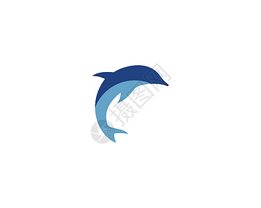 海豚标志图标 vecto海洋身份海滩公司哺乳动物跳跃运动商业插图动物图片