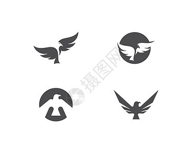 鹰鸟标志模板力量飞行商业孔雀荣耀标识徽章奢华盔甲翅膀背景图片