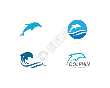 海豚标志图标 vecto温泉跳跃海洋海浪圆圈潜水酒店生活哺乳动物蓝色图片