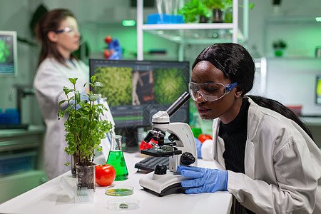 在医学显微镜下研究叶子样本的生物学家研究员科学家 观察化学外套化学品植物测试生态女士工程实验植物学图片
