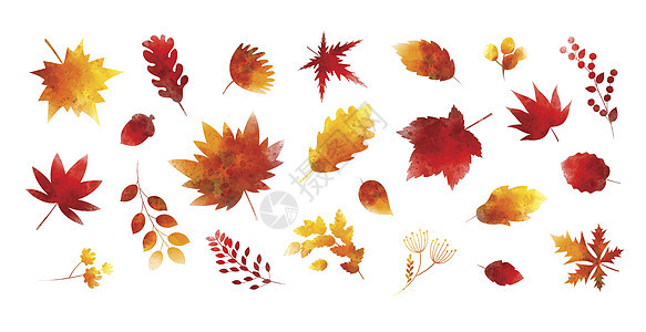一套水彩秋叶在白色背景矢量它制作图案图片