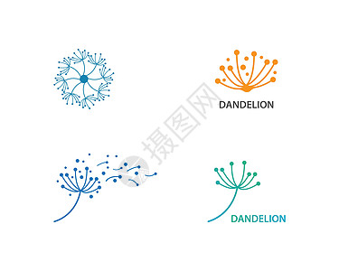 蒲公英花标志 vecto植物学网络公司横幅艺术生活叶子生态标签种子图片