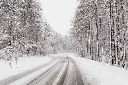 冬季道路青林 高品质照片图片