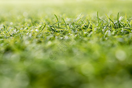 浅景深校园塑料人造草的质地天文地面颗粒闲暇草地草皮娱乐绿色操场足球图片