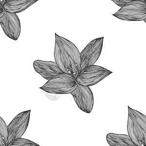 黑色和白色的花卉矢量背景 用于纺织品设计的线性百合花线无缝图案 矢量无缝黑白花卉图案模版打印树叶热带卡片艺术植物繁荣紫荆花滚动图片