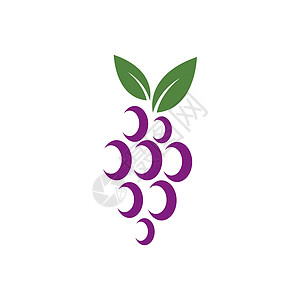 葡萄叶标志 vecto酒厂藤蔓农业收成葡萄园酒精标签紫色浆果插图图片