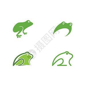 青蛙标志模板绿色插图两栖动物蹼状荒野森林动物园眼睛黑色图片