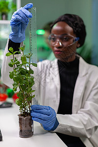 非洲研究者为植物实验而开发的非洲研究者的测量水坑科学家生物学微生物学电脑研究科学团队研究员农业实验室图片