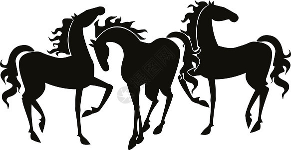 三匹站立的马 黑色轮廓 白色背景上的矢量图图片