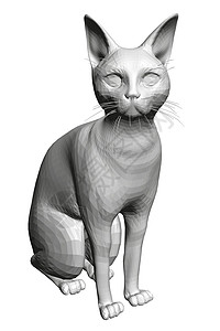 坐在白色背景上孤立的猫模型  3D 它制作图案矢量图片