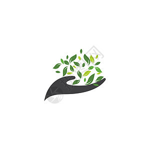 生态关怀日志公司植物环境热带插图农业农场叶子标识树叶图片