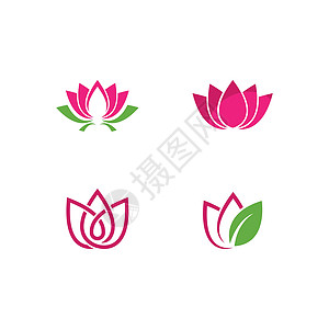 一套荷花日志温泉商业叶子插图瑜伽标识百合玫瑰植物冥想图片