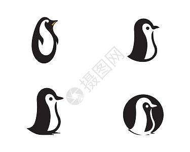 北极企鹅企鹅标志 vecto野生动物身份徽标动物荒野翅膀绘画标识插图天空插画