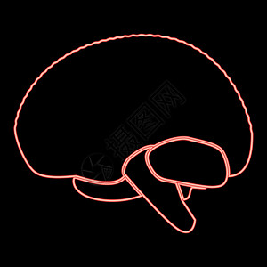 霓虹灯大脑图标黑色圆圈红色矢量图平面样式图像图片