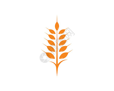 农业小麦标志模板矢量 ico标识市场面包粮食横幅饮食插图质量玉米种子图片