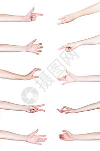 设置人类的手打手势白色背景 高品质照片图片