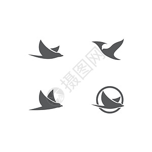 燕子鸟类日志空气动物群野生动物旅行天空热带风景插图翅膀黑色插画