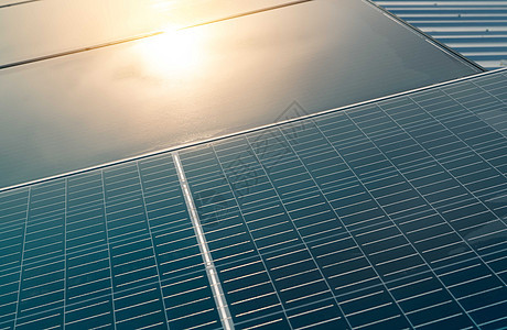 太阳能电池板或光伏组件 太阳能为绿色能源 可持续资源 再生能源 清洁技术 太阳能电池板使用太阳光作为发电源光伏太阳网格住宅植物活图片