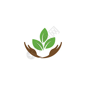 绿叶原木标识商业公司植物叶子生态环境插图树叶美丽图片
