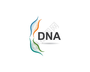 DNA 遗传符号元素和它制作图案的图标技术科学生物微生物学公司生活身份染色体药品插图图片