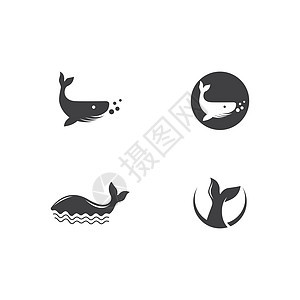 鲸鱼原木海浪荒野海洋座头鲸游泳标识旅行蓝色力量哺乳动物图片