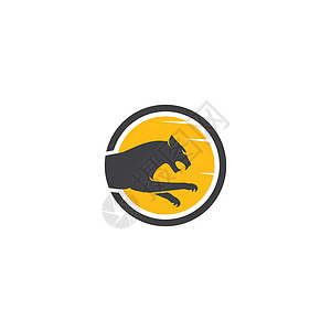 美洲狮 豹子 老虎或者豹子商标设计捕食者吉祥物运动圆圈荒野插图猎豹哺乳动物动物园力量图片