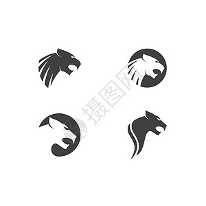 美洲狮 豹子 老虎或者豹子商标设计运动品牌动物园动物标识插图哺乳动物猎豹危险圆圈图片