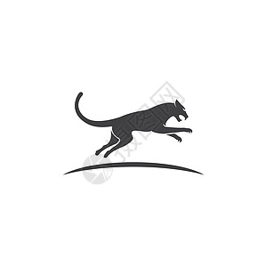 美洲狮 豹子 老虎或者豹子商标设计圆圈吉祥物插图动物园力量荒野运动动物捕食者野生动物图片