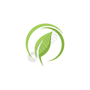 绿叶原木字体环境产品生活叶子技术标识植物群公司农场图片
