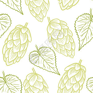 白色背景无缝图案上的手工素描绿色啤酒花图片