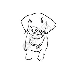 微笑的小狗插图矢量在白色背景线条艺术上被隔离图片