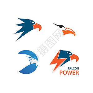 隼鹰比尔荣耀插图奢华标识翅膀力量孔雀飞行商业身份图片