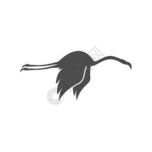 火烈哥脖子天鹅羽毛白色热带插图创造力动物群粉色异国图片
