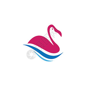 火烈哥情调粉色野生动物标识天鹅创造力程式化动物动物群热带图片