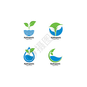 水培标志矢量图标它制作图案环境技术农业水电商业养分生长植物插图生态图片