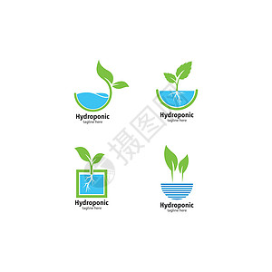 水培标志矢量图标它制作图案水电插图农场养分标识蓝色水培法生活技术商业图片