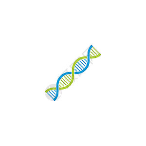 DNA 遗传符号元素和它制作图案的图标基因标识生活生物技术插图公司科学细胞身份图片