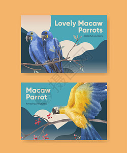 带有金刚鹦鹉鸟概念的 Facebook 模板 水彩风格鸟类营销情调热带互联网动物园丛林荒野尾巴插图图片