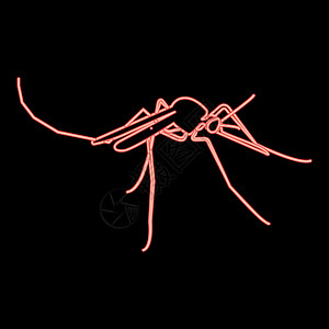 霓虹灯蚊子红色矢量插图平面样式 imag图片