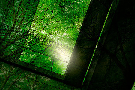现代城市中的环保建筑 带叶子的绿色树枝和可持续的玻璃建筑 用于减少热量和二氧化碳 办公楼绿化环境 去绿色概念解决商业节能窗户太阳图片