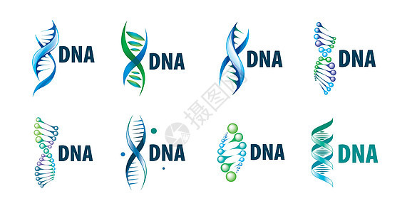 一组 DNA 螺旋形状的矢量标志化学基因克隆标识代码插图科学药品身份实验室图片