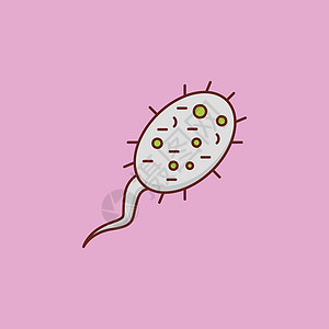 受精生育力细胞性别医疗怀孕排卵遗传渗透男性插图图片